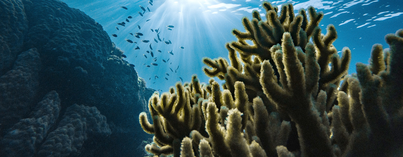 凯时AG中水回用、陶瓷膜、石墨烯膜、黑金膜公家号，迎接您扫码关注！