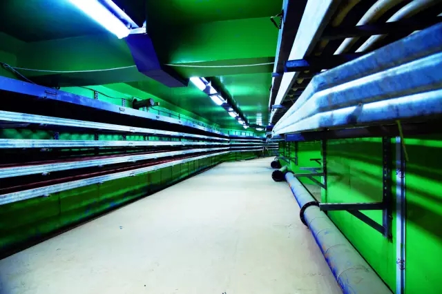 9393体育·(中国)官方网站