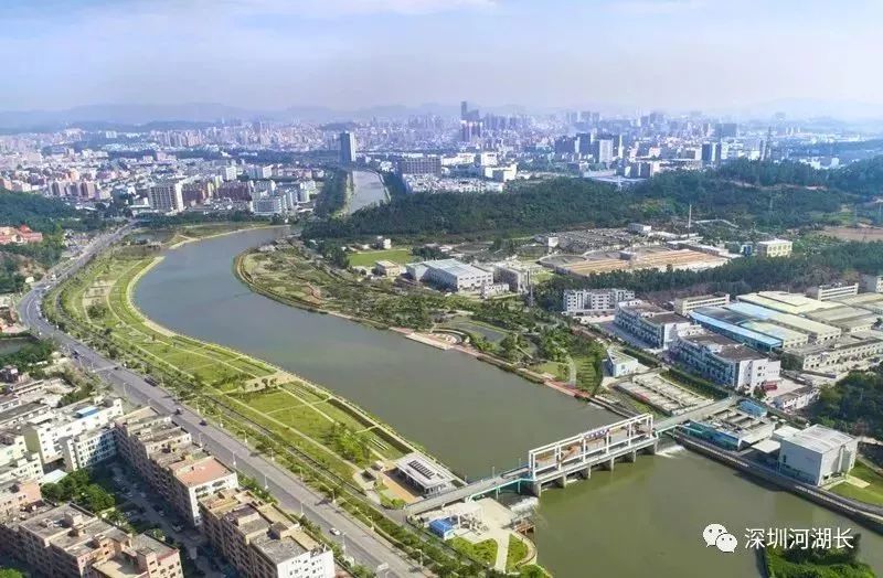 9393体育·(中国)官方网站