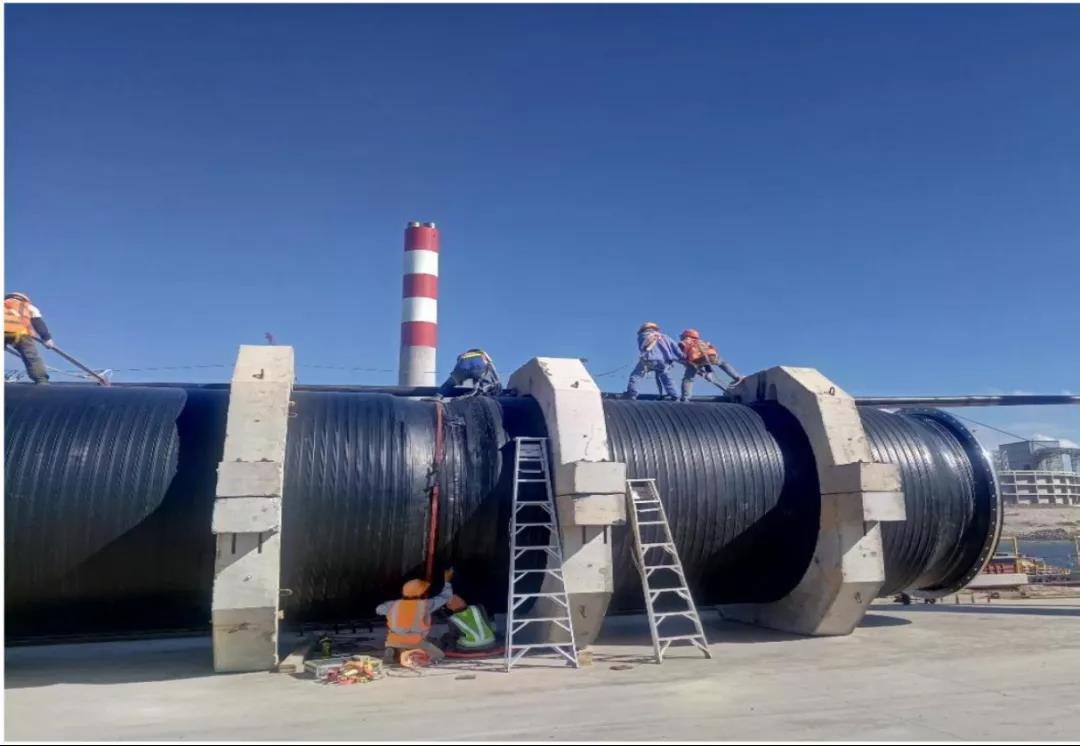 9393体育·(中国)官方网站