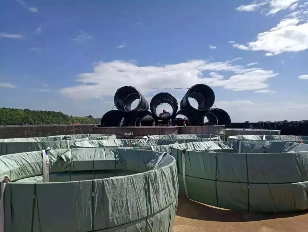 9393体育·(中国)官方网站