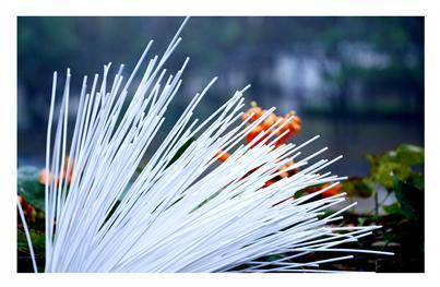 凯时|AG(AsiaGaming)优质运营商