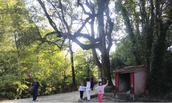 凯时|AG(AsiaGaming)优质运营商