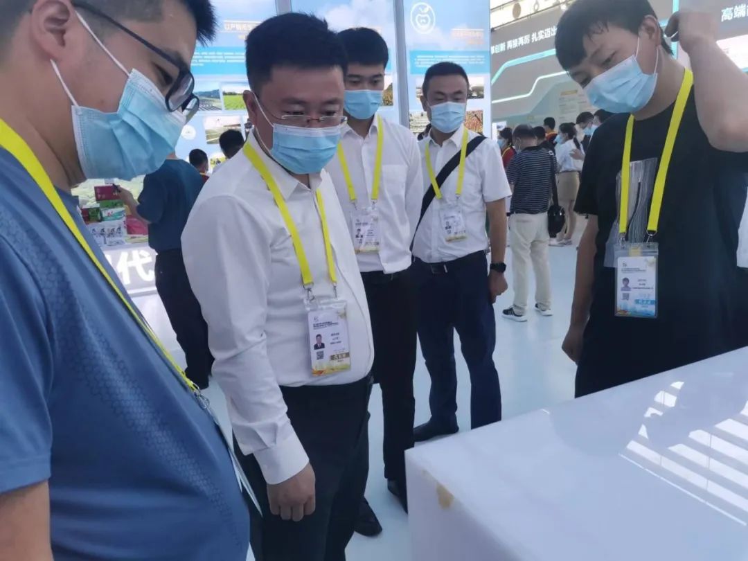 凯时|AG(AsiaGaming)优质运营商