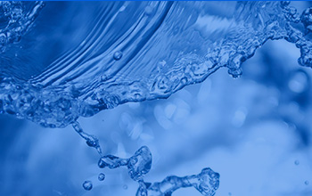 厦门市副市长李栋梁率市有关部门辅导一行光临公司调研